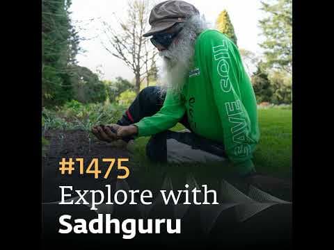 #1475 - Earthy Sense: Natural Health Guide