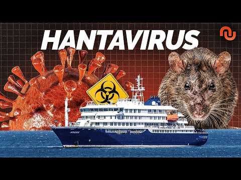 Pourquoi l'Hantavirus ne sera jamais le « prochain Covid » (et tant mieux)