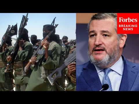Ted Cruz Warns Terrorist Groups Are Expanding Across Africa 'With Increasing Capability'