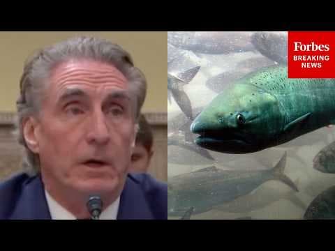 'It Just Is Common Sense': Doug Burgum Defends Transferring ESA, MMA To Fish And Wildlife Service