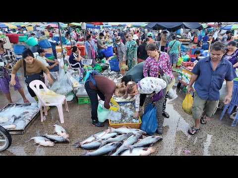 Chbar Ampov Market at 5 AM: Cambodia's busiest freshwater fish hub adventure
