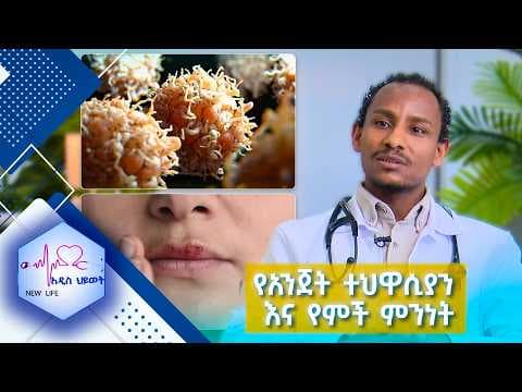 የአንጀት ተህዋሲያን እና የምች ምንነት //New Life//
