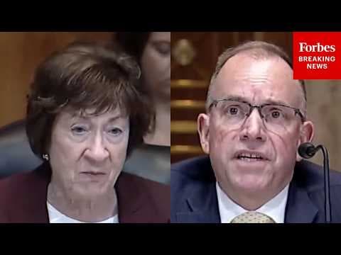 'It Is Absolutely Crucial': Susan Collins Drills Vitalness Of Pest Control Into Forest Service Chief