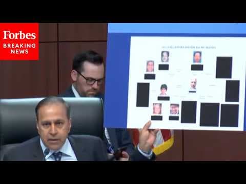 'They May Be Among Us Today': Krishnamoorthi Demands Disclosure Of  Epstein Conspirators' Identities