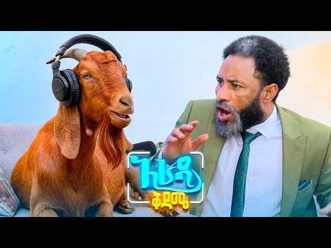 //አራዳ ቅዳሜ // ምቀኝነት በጣቢያ ደረጃ ይመስለኝ ነበር በእንስሳትም አለ?😂😂 በሳቅ ፍርስ የሚያደርግ ኮሜዲ