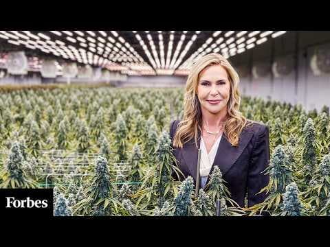 The Trump Whisperer: Inside One CEO's Fight To Reschedule Marijuana