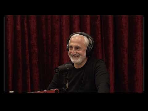 Joe Rogan Experience #2497 - Gad Saad