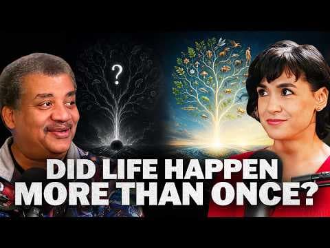 An Astrobiologist Pieces Together How Life Started