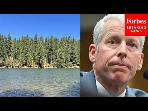 Chris Wright Asked About Cooperation With Agriculture Department On Converting Timber Into Biofuel