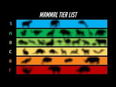 The Mammal Tier List