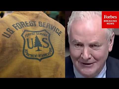 'I'm Disappointed': Chris Van Hollen Slams Trump Admin's Cuts To Forest Service's Budget