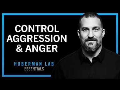 Understanding & Controlling Aggression | Huberman Lab Essentials