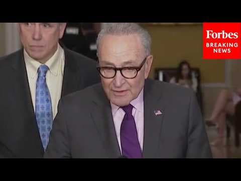 Chuck Schumer Asked About DHS Funding Holdout: 'Did Democrats Overplay Their Hand?