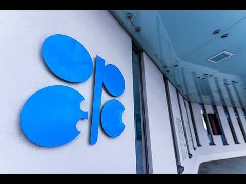 UAE Leaving OPEC at Right Time, Energy Minister Says