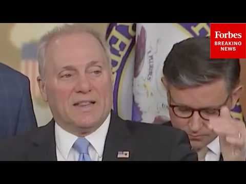 'When We Bring Anti-Fraud Measures, They Fight That!': Steve Scalise Blasts Dems