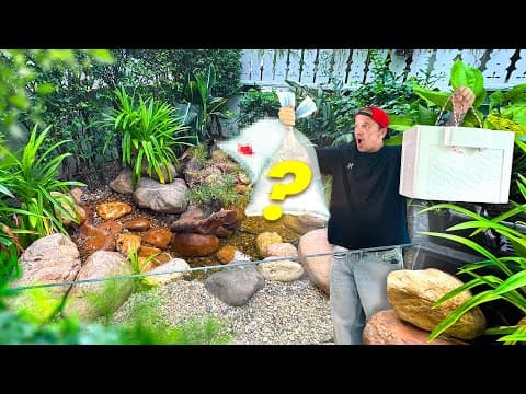 J’ACHÈTE DES POISSONS D’AQUARIUM POUR MA RIVIÈRE TROPICALE !! -TOOPET