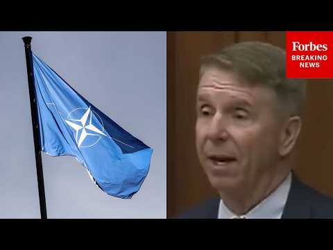 'They Can't Build Everything': Rob Wittman Urges Stronger Cooperation Among NATO Members
