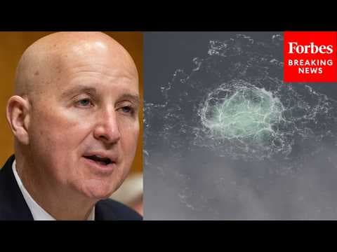 Ricketts Asks Expert How US, Allies Should Respond To Russian, Chinese Sabotage Of Subsea Cables