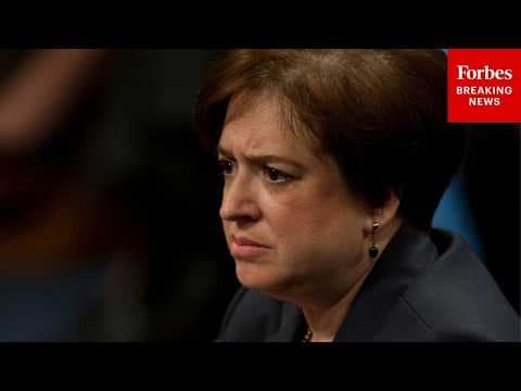 'Is That Really Going To Make The Difference?': Elena Kagan Grills Lawyer On TPS Consultation