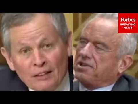 'There's A Lot Of Disturbing Data': Steve Daines Asks RFK Jr. About Safety Of Mifepristone