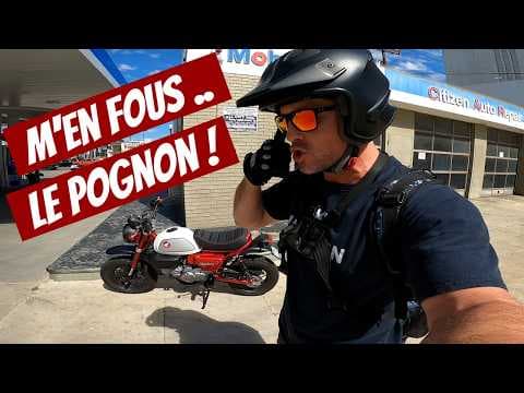 Je vis seul sans amis moi c'est que le pognon