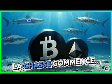 Wall Street est en train de dévorer la crypto, et vous avec !