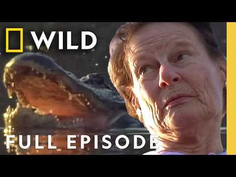 Meet the Killers Among Us (Full Episode) | Hunter vs. Hunted | Nat Geo Animals