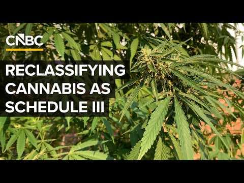 What The Trump Administration's Cannabis Reclassification Means For The Drug
