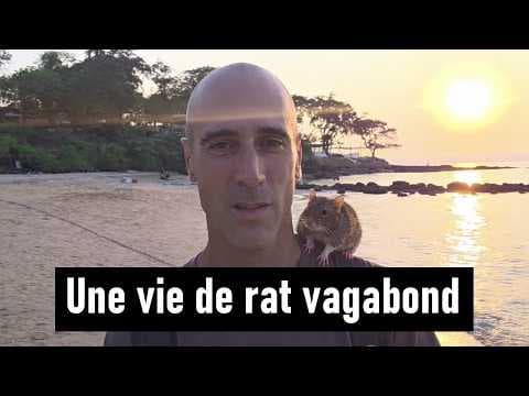 Peut-on vivre une vie de rat vagabond en Asie du Sud-Est ?