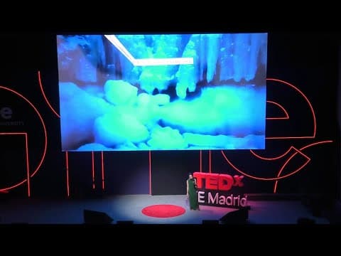 The power of solitude: why I spent 8 months alone in the ice | Tamara Klink | TEDxIE Madrid