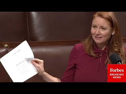 'So Out Of Touch!': Stansbury Torches GOP Resolution To 'Recognize' Work Of 119th Congress