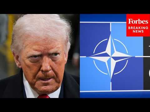 If U.S. Wanted NATO Allies To Help In Iran War 'We Should've Made The Case Beforehand': Expert