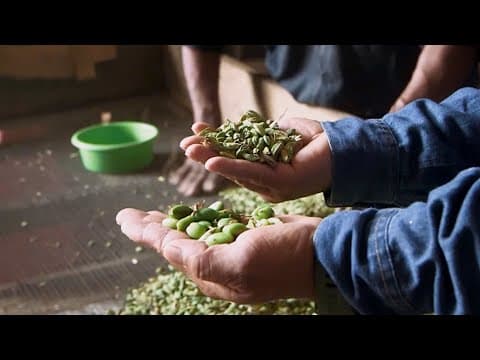 Spice Company Wins Suit Over 10% Trump Global Tariffs
