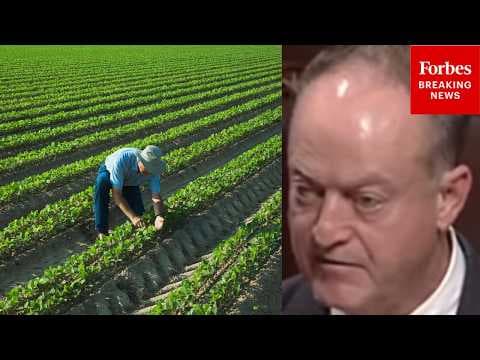 'The 2026 Farm Bill Reaches Farmers In A Moment Of Great Need': Mark Messmer Backs GOP Farm Bill