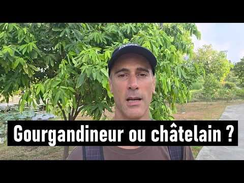 Vaut-il mieux être un gourgandineur itinérant ou posséder un harem dans son château ?