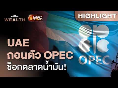 UAE ประกาศถอนตัวจาก OPEC สั่นคลอนอำนาจกลุ่มผู้ผลิตน้ำมันโลก | THE STANDARD WEALTH