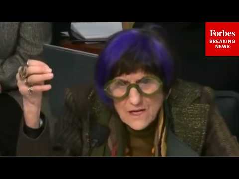 'I Don't Believe You Can Do More With Less': Rosa DeLauro Demands Increased Budget For CBO