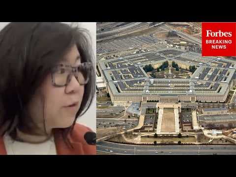 'I Don't Think We Need A $1.5 Trillion Military Budget': Meng Torches Pentagon Budget Request