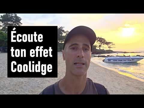 🐦 Accepte l'effet coolidge ou subis ta micheline de couple