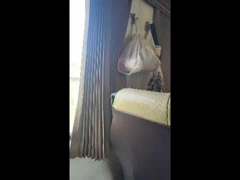 Da Nang Vietnam to quy nhon Vietnam Livestream