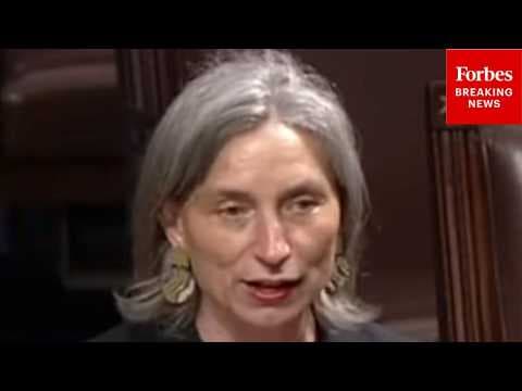 'Hunger Is A Policy Choice': Maxine Dexter Tears Into GOP's Legislative Agenda