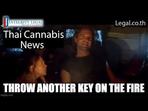 "Blaze Destroys Cannabis" in Thai Warehouse?