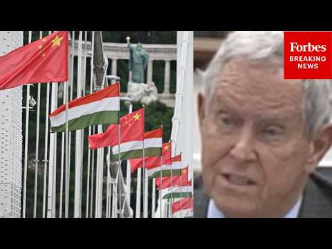 'They Were The First To Stand Up To Soviet Imperialism': Wilson Decries China Investment In Hungary