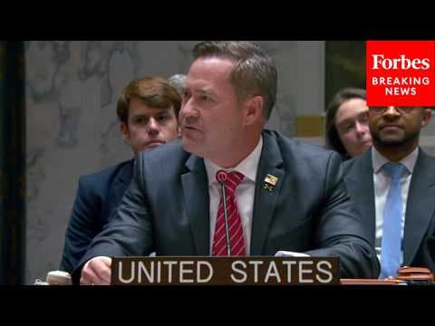 Mike Waltz Speaks At UN Security Council Meeting After US Votes To Extend UN South Sudan Mandate