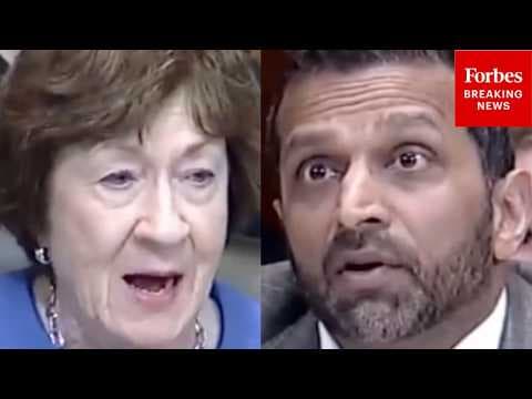 'Do We Know Where The Money Is Going To?': Collins Asks Patel About China-Linked Cannabis Farms
