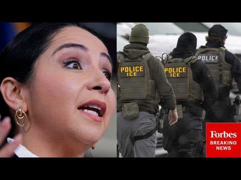 'DHS Cannot Be Reformed': Delia Ramirez Calls To 'Melt ICE' And Dismantle DHS