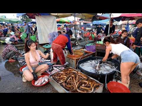 Insane River Fish Harvest 🇰🇭 Cambodia’s Biggest Freshwater Market Tour
