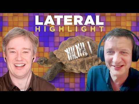 The tortoise with 11 markings