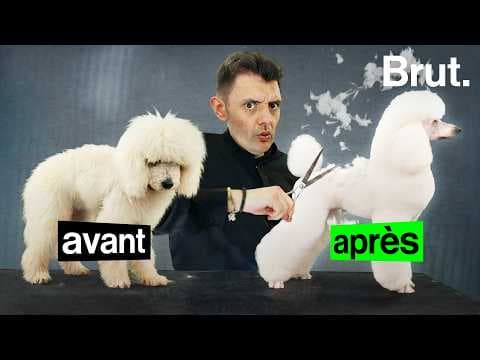 Sa mère ne voulait pas de chien… il est devenu meilleur toiletteur de France !