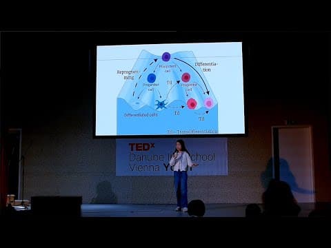 The Immortal Jellyfish | Olivia Lu | TEDxDanube Intl School Vienna Youth